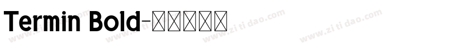 Termin Bold字体转换